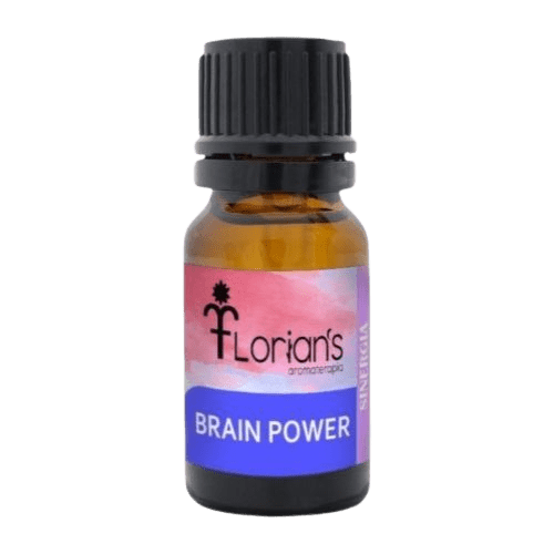 BRAIN POWER